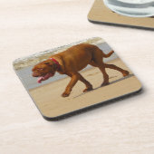 Dogue de bordeaux getränkeuntersetzer (Linke Seite)