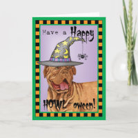 Dogue de Bordeaux Hexe