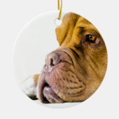 Dogue de Bordeaux Keramikornament (Vorne)