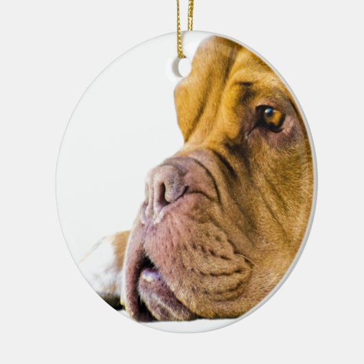 Dogue de Bordeaux Keramikornament (Links)