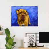 Dogue de Bordeaux Kunstdrucke Poster (Heimbüro)
