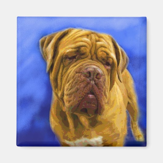 Dogue de Bordeaux Magnete Magnet (Vorne)