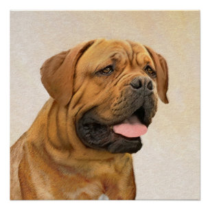 Dogue de Bordeaux Malerei - Niedliche Original Dog Poster