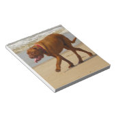 Dogue de bordeaux notizblock (angewinkelt)
