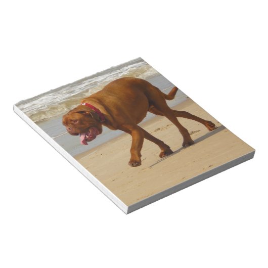 Dogue de bordeaux notizblock (angewinkelt)