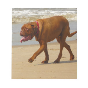 dogue de bordeaux notizblock