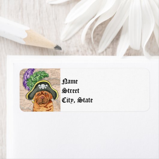 Dogue de Bordeaux Pirate (Insitu)