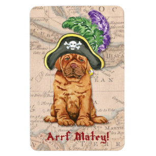 Dogue de Bordeaux Pirate Magnet