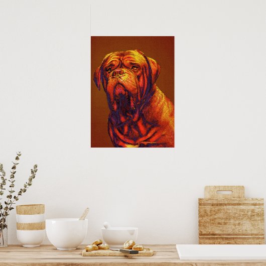 Dogue de bordeaux poster (Küche)
