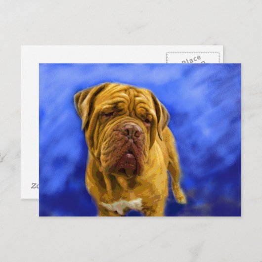 Dogue de Bordeaux Postkarten (Vorne/Hinten)