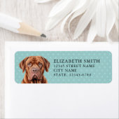 Dogue De Bordeaux Rücksendeadresse (Insitu)