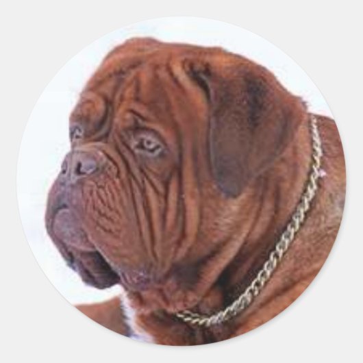 Dogue De Bordeaux Runder Aufkleber (Vorderseite)