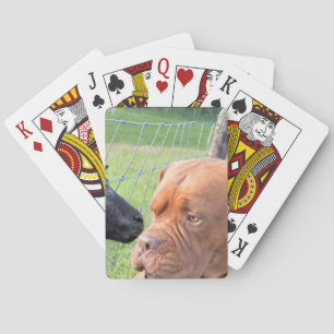 Dogue de Bordeaux Spielkarten