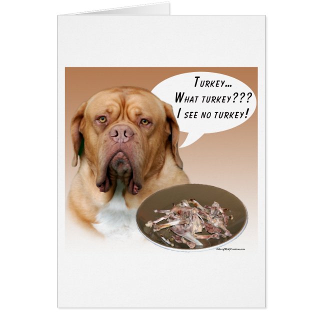 Dogue de Bordeaux Türkei (Vorne)