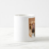 Dogue de Bordeaux Türkei Kaffeetasse (Mittel)