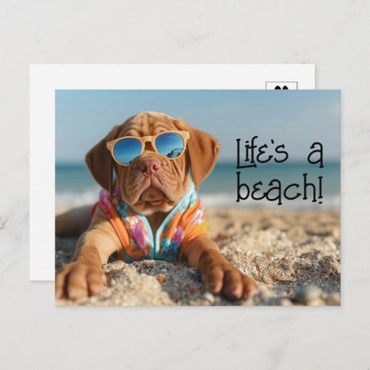 Dogue de Bordeaux Welpe mit Sonnenbrille Postkarte (Vorne/Hinten)