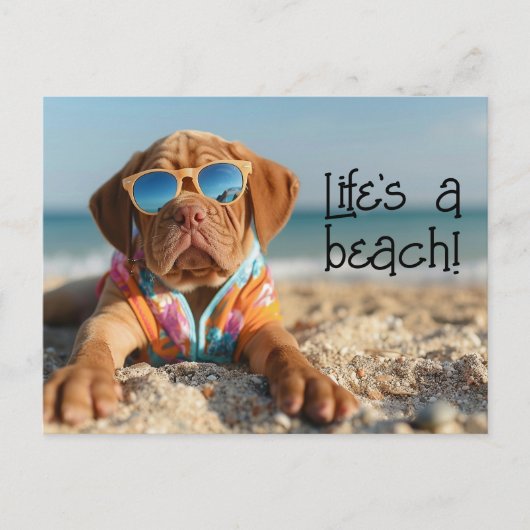 Dogue de Bordeaux Welpe mit Sonnenbrille Postkarte (Vorderseite)