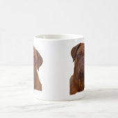 Dogue de Bourdeaux Kaffeetasse (Mittel)