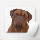 Dogue de Bourdeaux Mousepad (Mit Mouse)