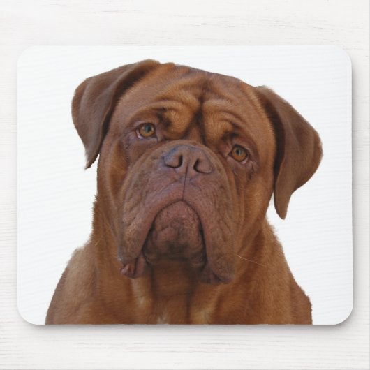 Dogue de Bourdeaux Mousepad (Vorne)