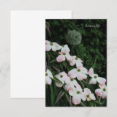 Dogwood & Allium Mitteilungskarte (Vorne/Hinten)