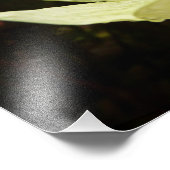 Dogwood and Redwoods in Yosemite National Park Fotodruck (Ecke)