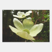 Dogwood and Redwoods in Yosemite National Park Geschenkpapier Set (Vorderseite 3)