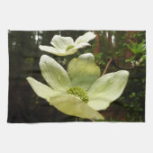 Dogwood and Redwoods in Yosemite National Park Küchentuch (Horizontal)