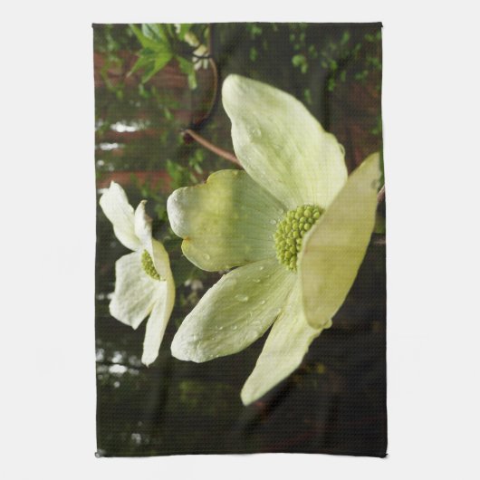 Dogwood and Redwoods in Yosemite National Park Küchentuch (Vertikal)