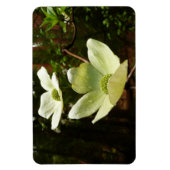 Dogwood and Redwoods in Yosemite National Park Magnet (Vertikal)