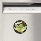 Dogwood and Redwoods in Yosemite National Park Magnet (In Situ (Geschirrspüler))