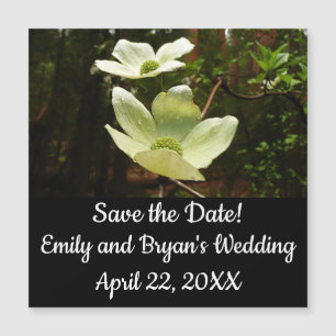 Dogwood and Redwoods in Yosemite National Park Magnetkarte