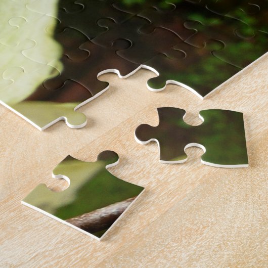 Dogwood and Redwoods in Yosemite National Park Puzzle (Seite)
