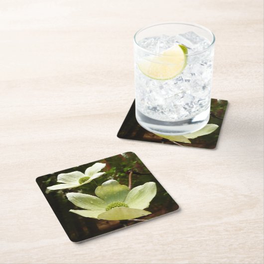 Dogwood and Redwoods in Yosemite National Park Rechteckiger Pappuntersetzer (Vor Ort)