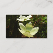 Dogwood and Redwoods in Yosemite National Park Visitenkarte (Rückseite)