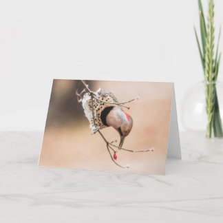 Dogwood Berry Frühstück Karte