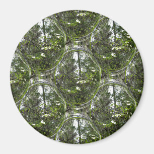 Dogwood-Blasen...... Magnet