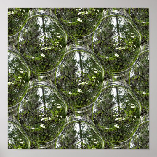 Dogwood-Blasen.... Poster (Vorne)
