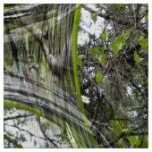 Dogwood-Blasen.... Stoff (Muster)