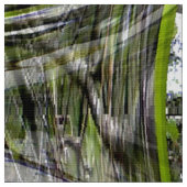 Dogwood-Blasen.... Stoff (Nahaufnahme)