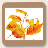 Dogwood-Blätter auf Untersetzer (Vorderseite)