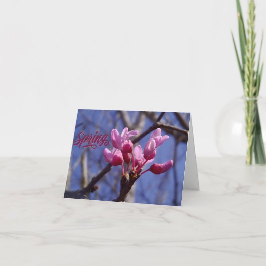 Dogwood Blossom Blank Greeting Card Dankeskarte (Vorderseite)