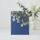 Dogwood Blossom Cards Postkarte (Stehend Vorderseite)