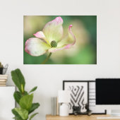 Dogwood Blossom | Cornus Kousa 'Miss Satomi' Poster (Heimbüro)