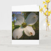 Dogwood Blossom, Karte (Gelbe Blume)