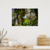 Dogwood Blossom, Poster (Küche)