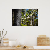 Dogwood Blossom, Poster (Küche)
