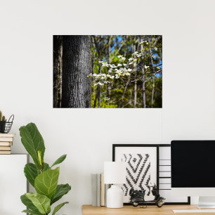 Dogwood Blossom, Poster