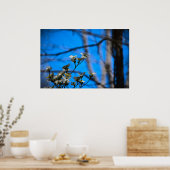 Dogwood Blossom, Poster (Küche)