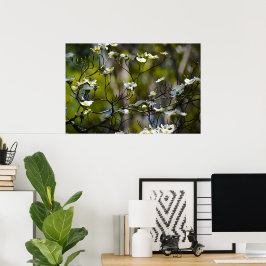 Dogwood Blossom, Poster